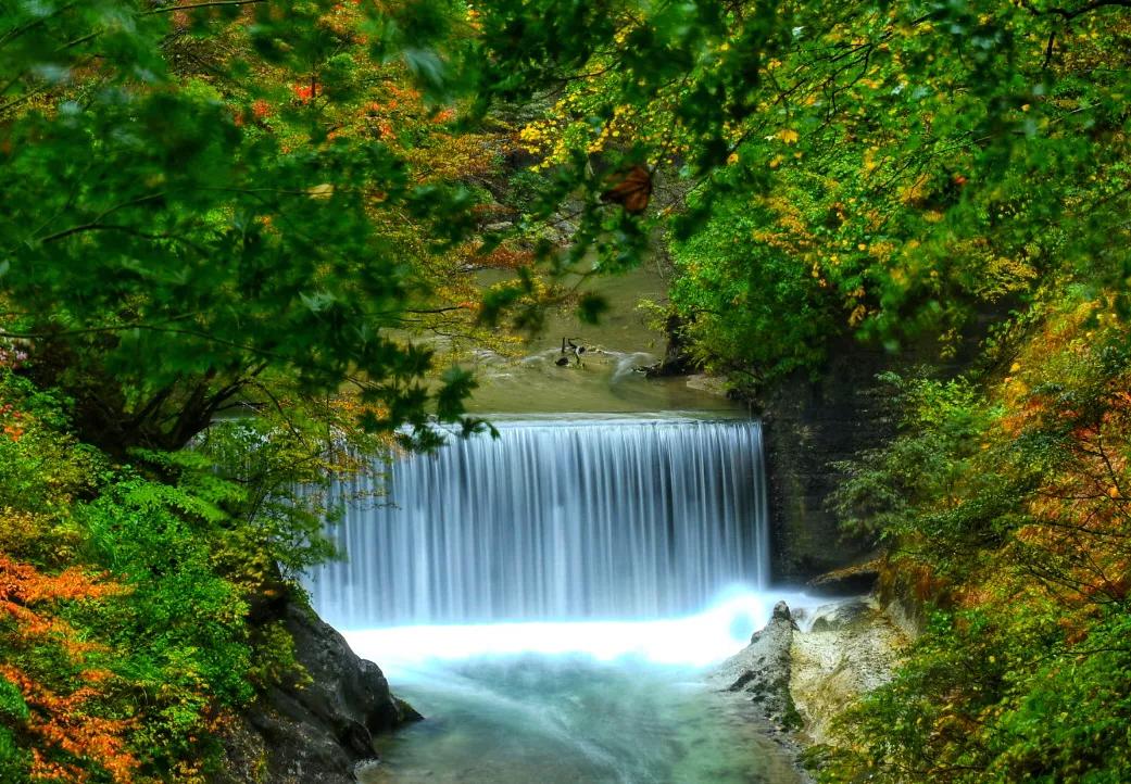 第三十七回,第三十七回主要内容