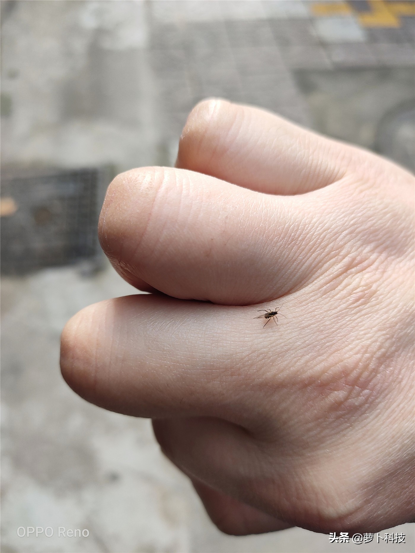 opporeno全系列测评,opporeno全面屏评测