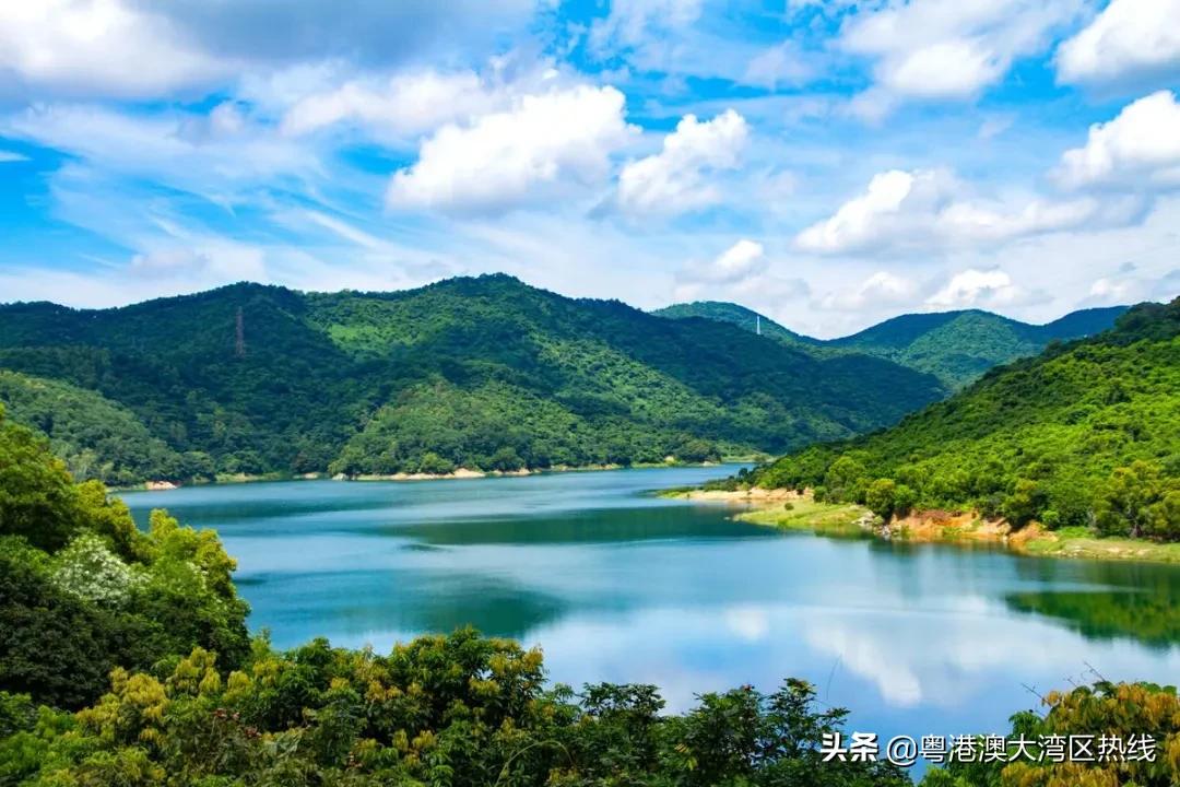 178个重大项目！3718亿巨资砸向这个区！深圳顶豪上演王者归来