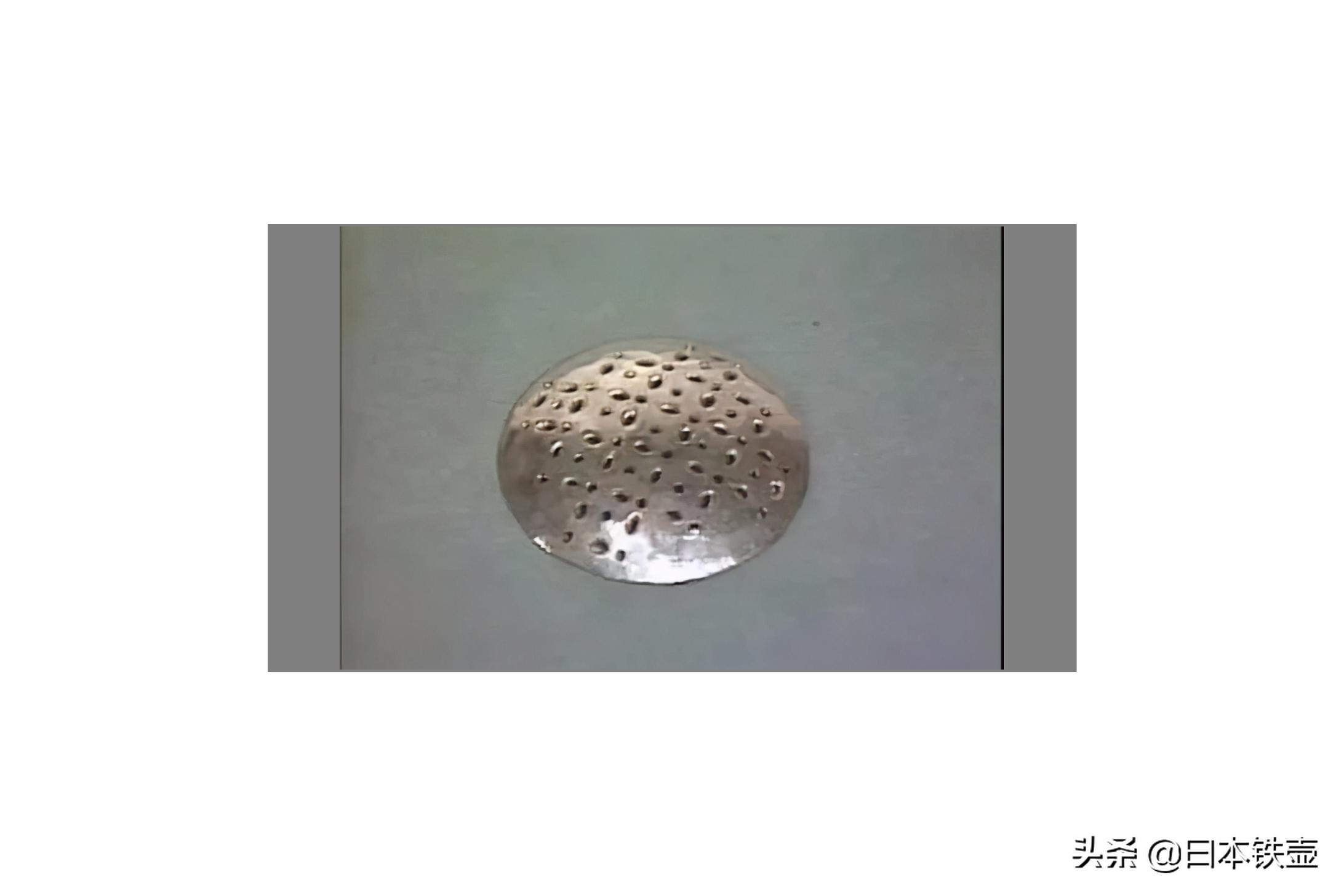 各位好，我是银壶，这是我的简历。希望大家喜欢我