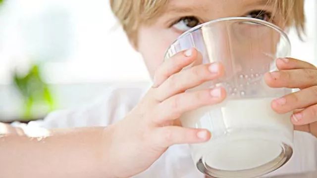 低脂无糖补钙酸奶,健康酸奶无糖