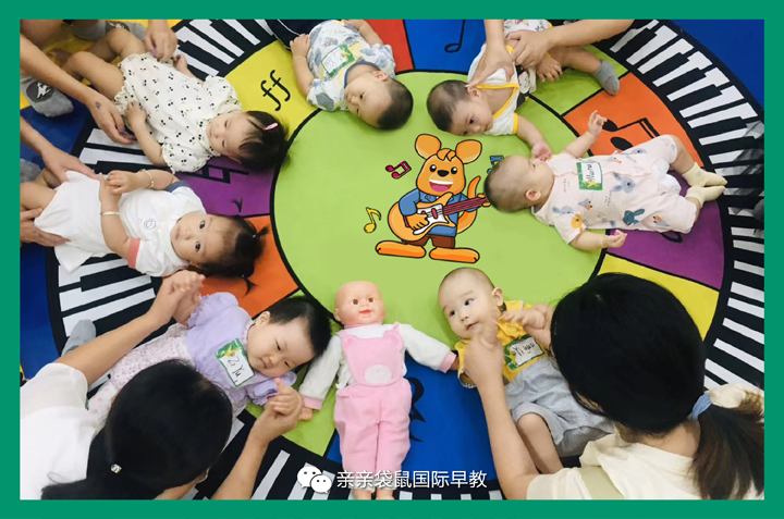 亲亲袋鼠2016,亲亲袋鼠优势