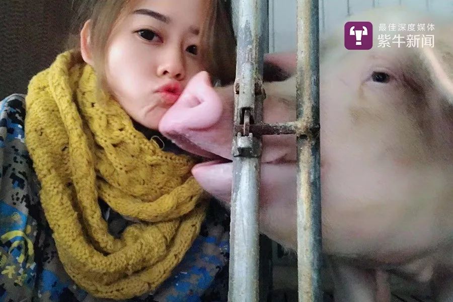 家里有矿的小萝莉,97年小伙回乡养猪年赚百万