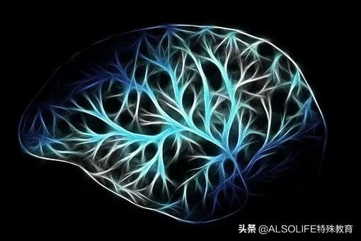 自闭症10年前的征兆,自闭症的脑部发育图