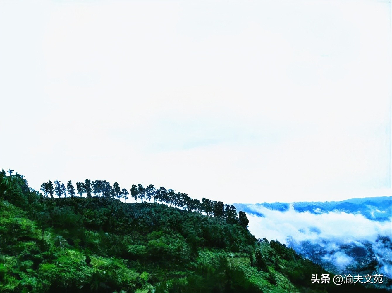 散文随笔跨年,元宵节散文随笔