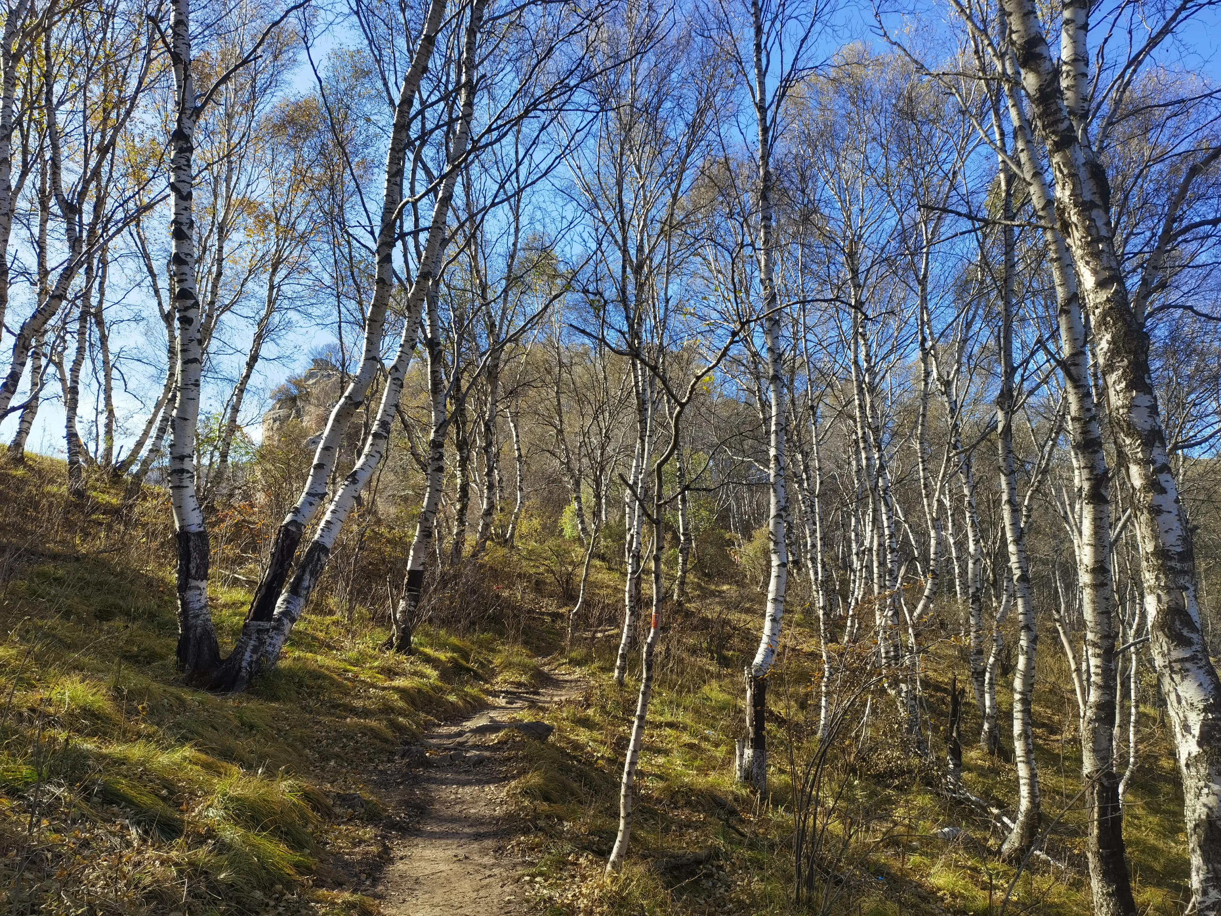 都知夏日驼梁美，秋季呢？阜平花塔村进山带您领略最美的秋日驼梁