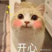 这5套搭配很适合夏天清爽又帅气,这5款配饰让你瞬间气质up