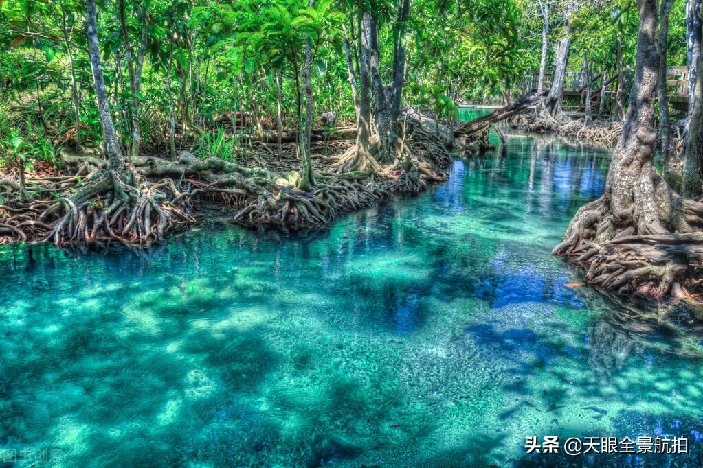 广东2-3天旅游攻略三日游,广东省三日游自由行攻略