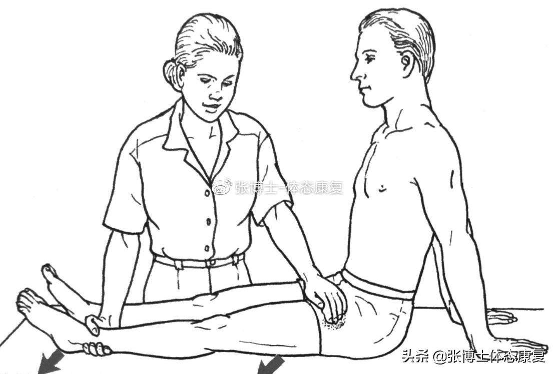 「译文分享」人体侧向子系统与单腿运动的稳定性