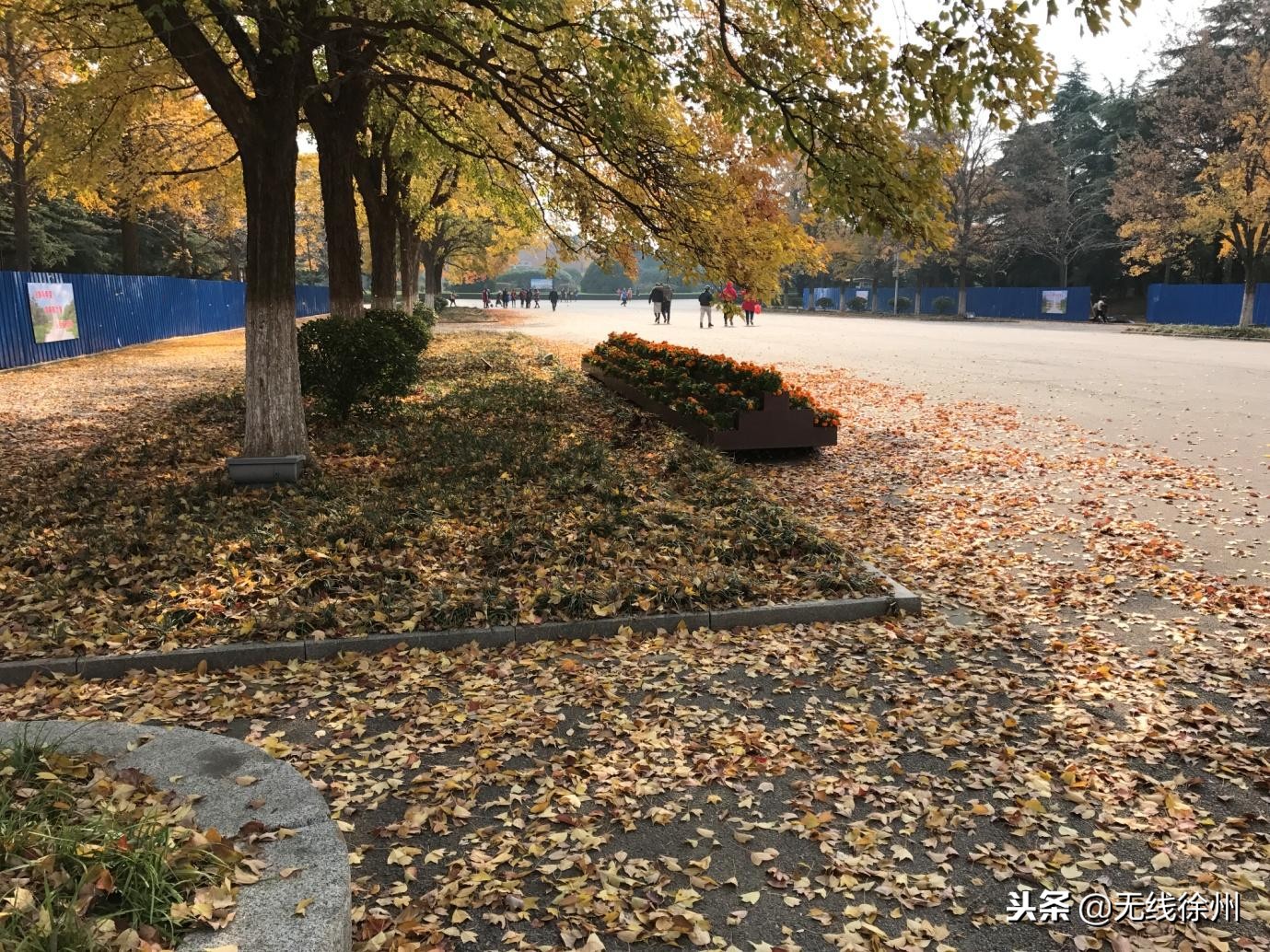 徐州最著名的旅游景点,徐州赏花及著名景点攻略