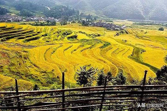 广东粤北最美公路,粤北最美的国道是哪条线