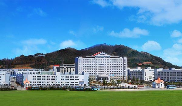 威海威高集团排名,威海威高集团辛文治职务