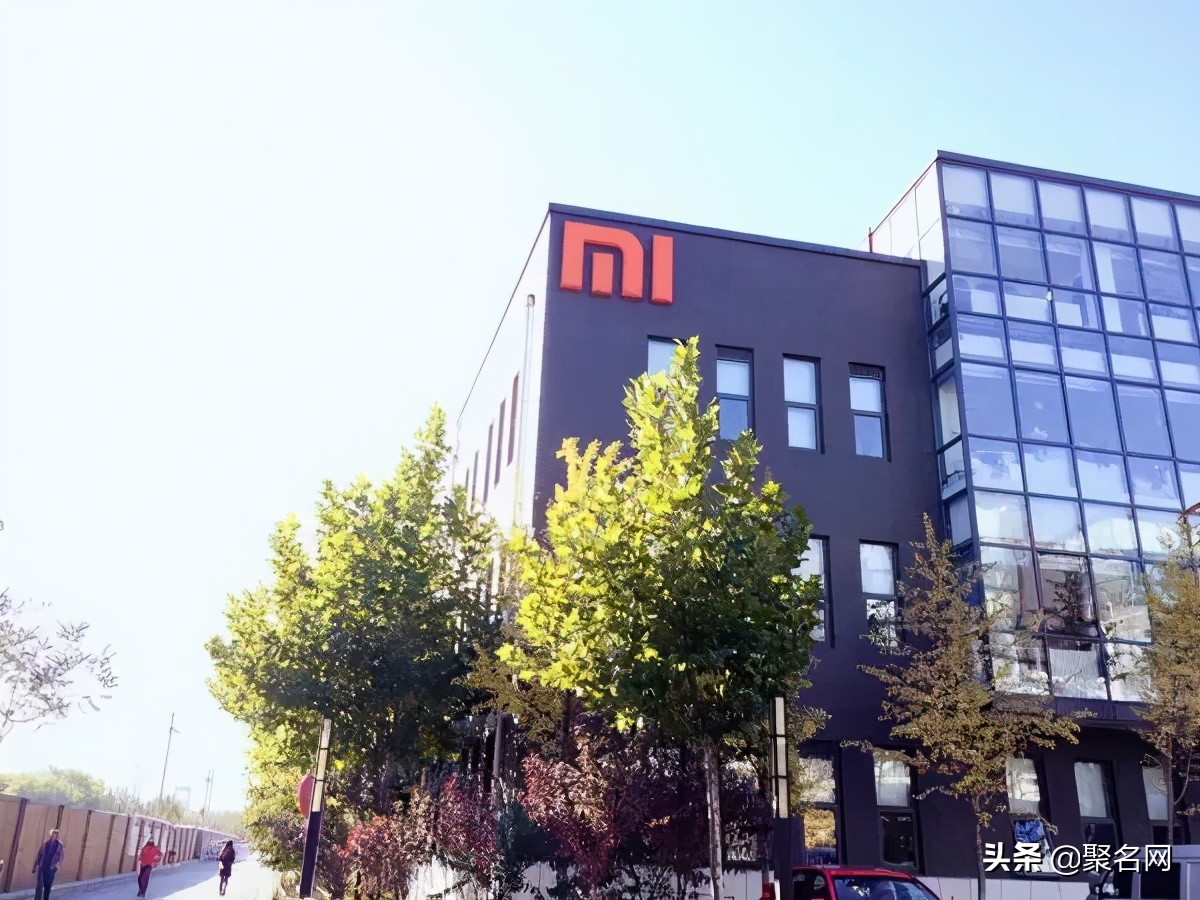 灏忕背澹版槑绱背,绱背姝ｅ紡鍏ラ┗灏忕背