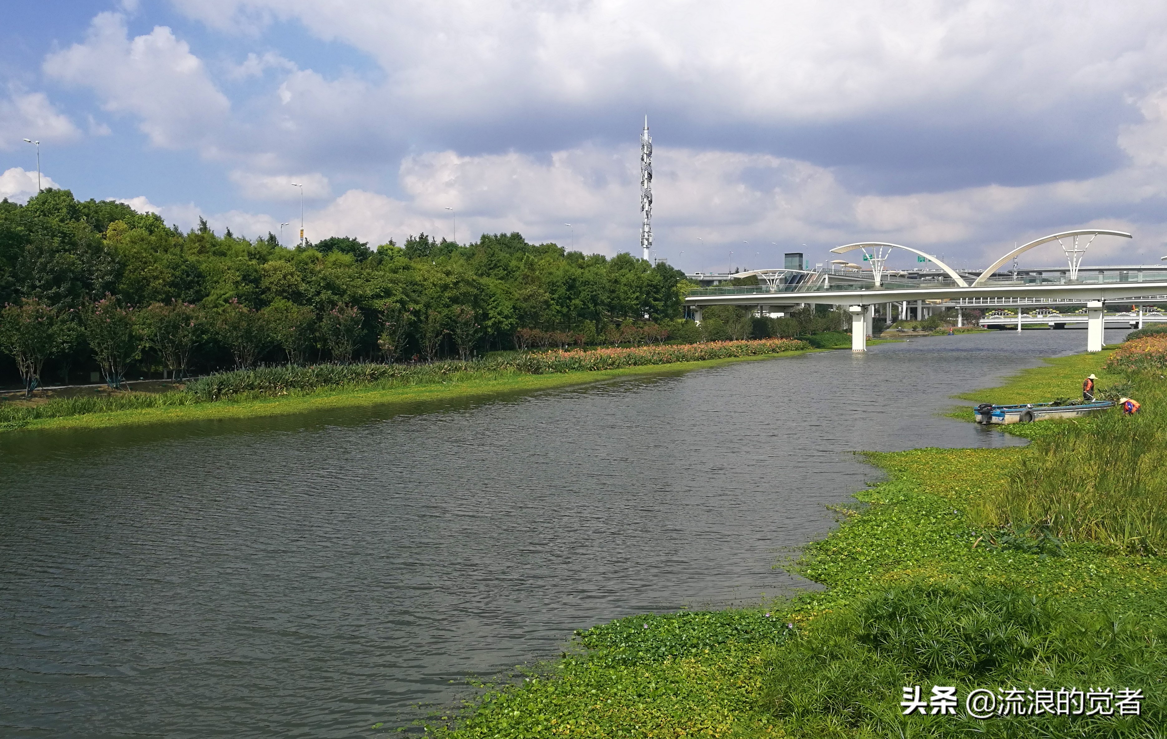 闹中取静的风景,闹中取静怡然自得