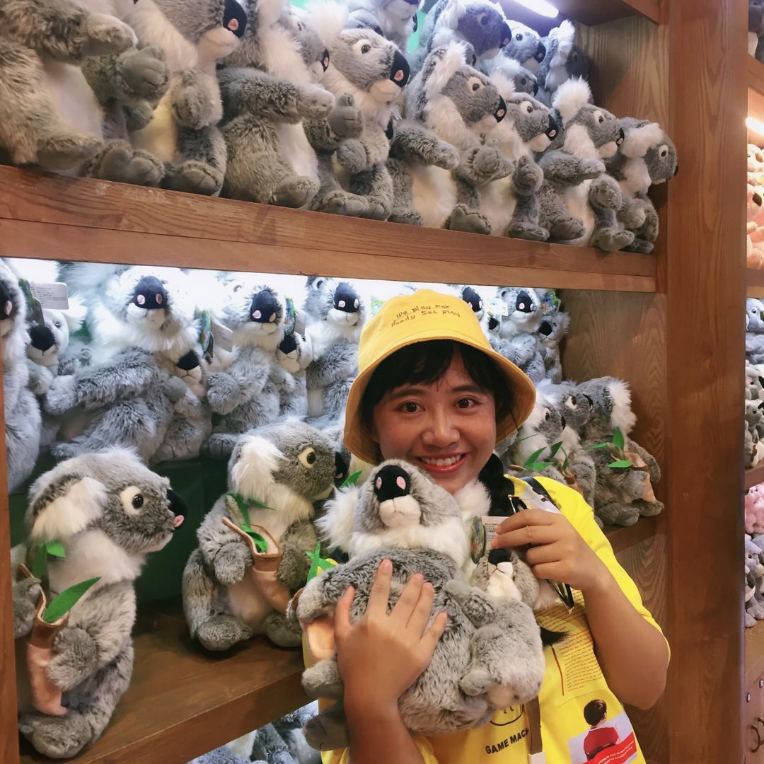 哪里有大熊猫动物园,哪些动物园值得看大熊猫