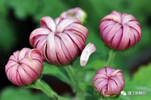 环境工程就业方向及前景,环境工程就业难吗