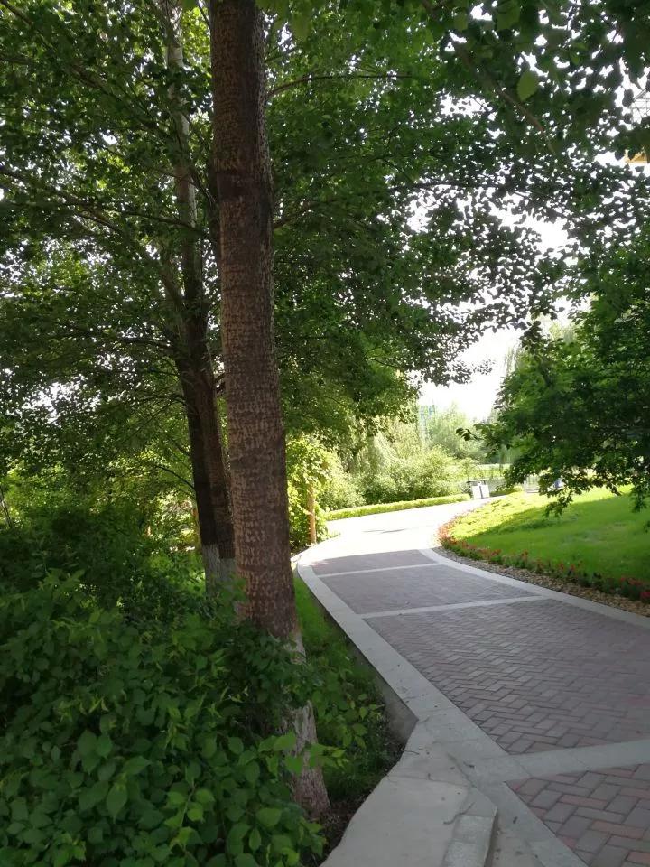 吉林市第一中学吉林市排名,吉林市省重点高中