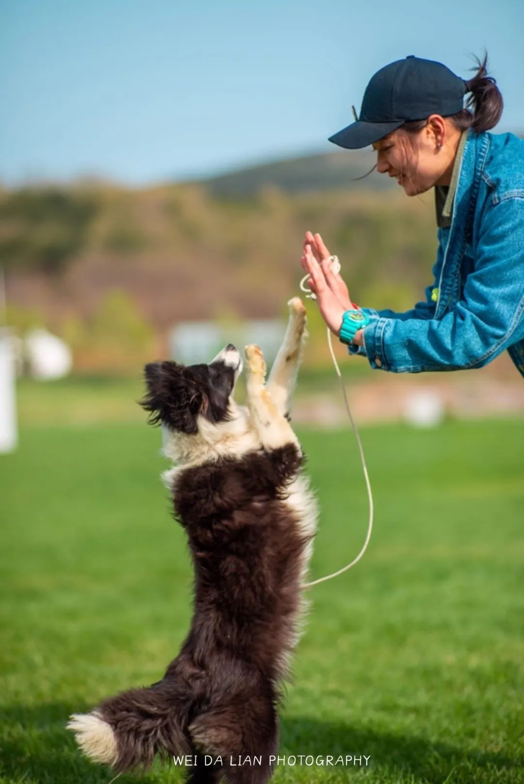 隐匿于大连的这片清澈之地，看的是蓝天白云，呼吸的是草木芬芳