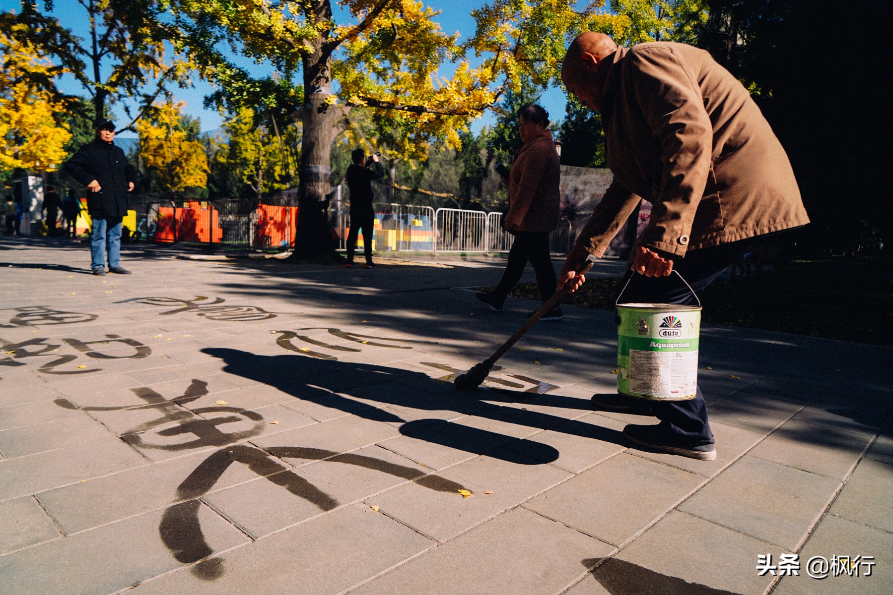 北京18个看银杏的好地方在哪,北京八大处看银杏攻略