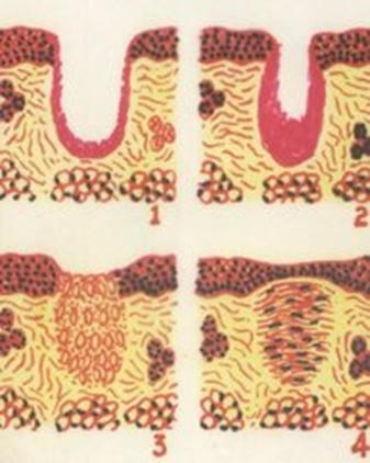 院前创伤评估与救治,院前创伤急救评估