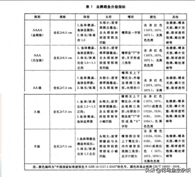 不被骗钱的知识,鹦鹉鱼疾病小知识