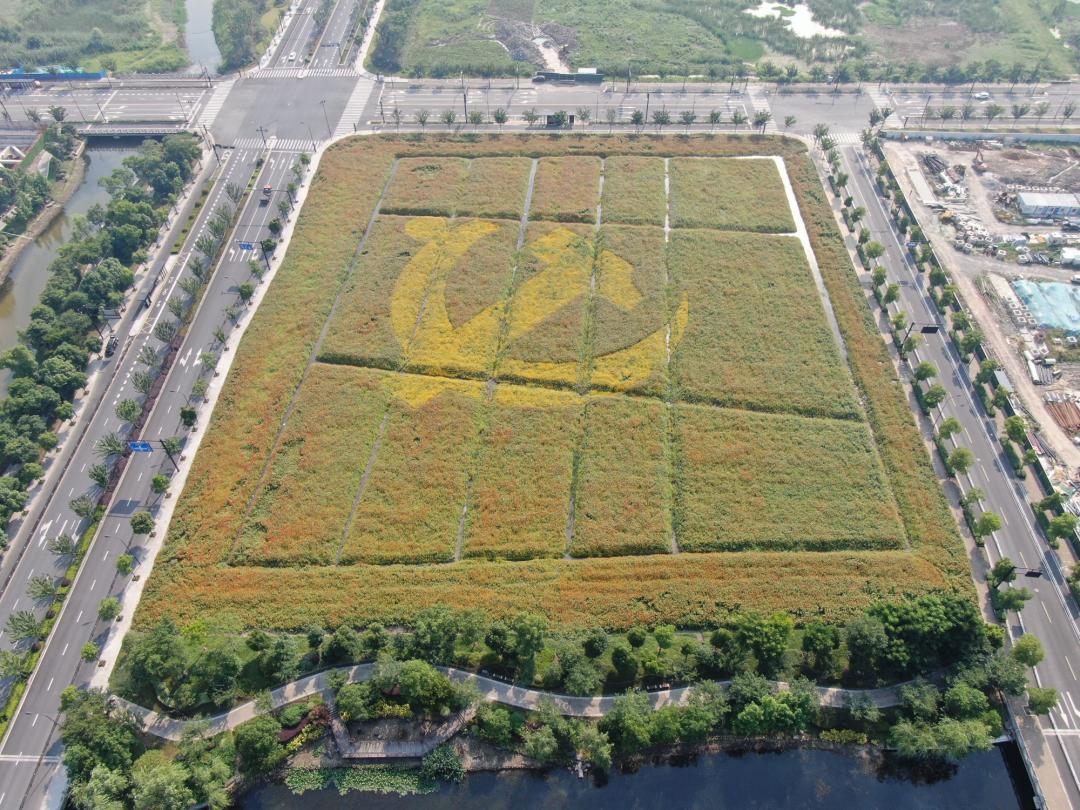 太美的花海,余杭千里花海