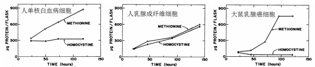 动物优质蛋白,小孩蛋氨酸过高