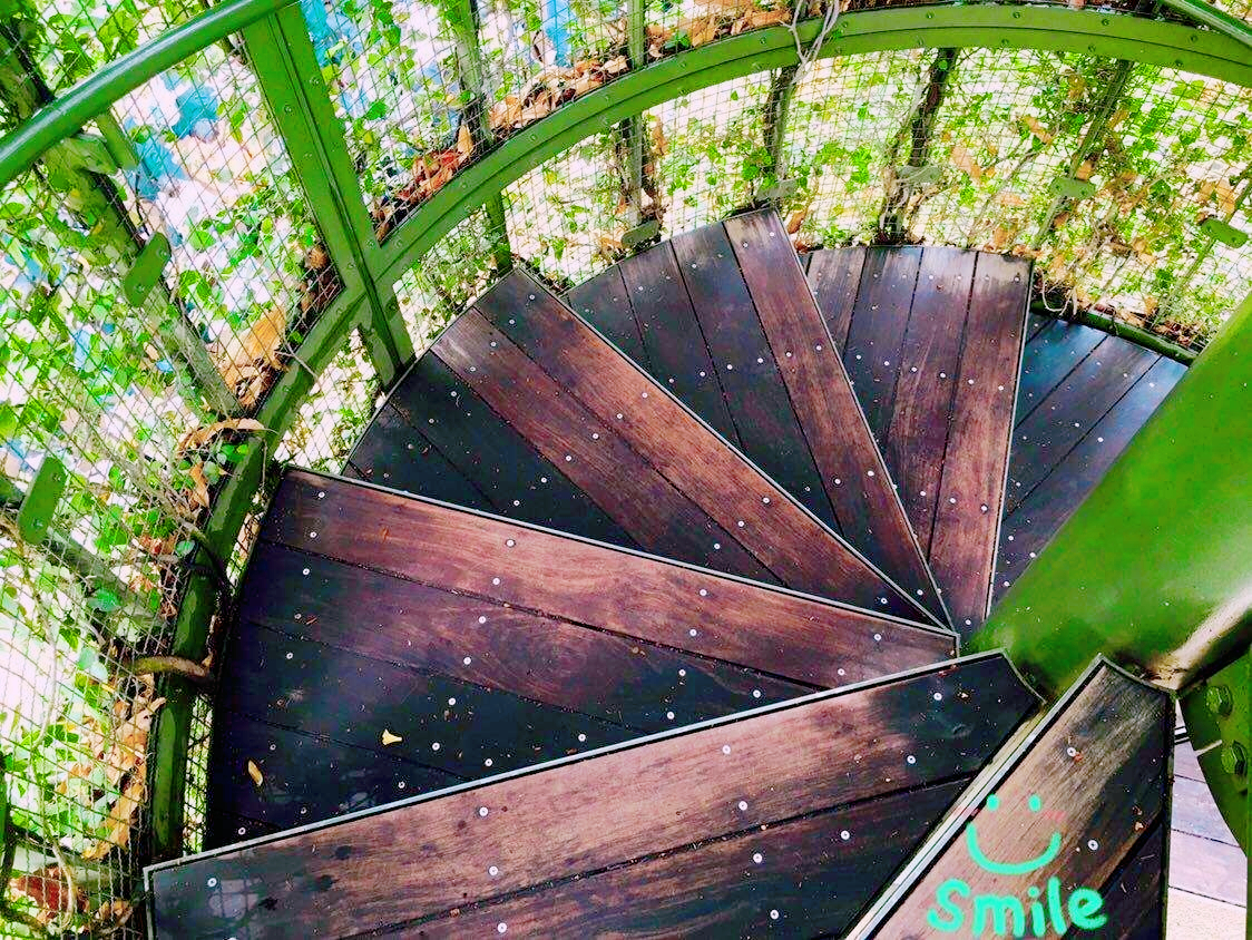 宫崎骏美术馆视频大全,宫崎骏美术馆记录片