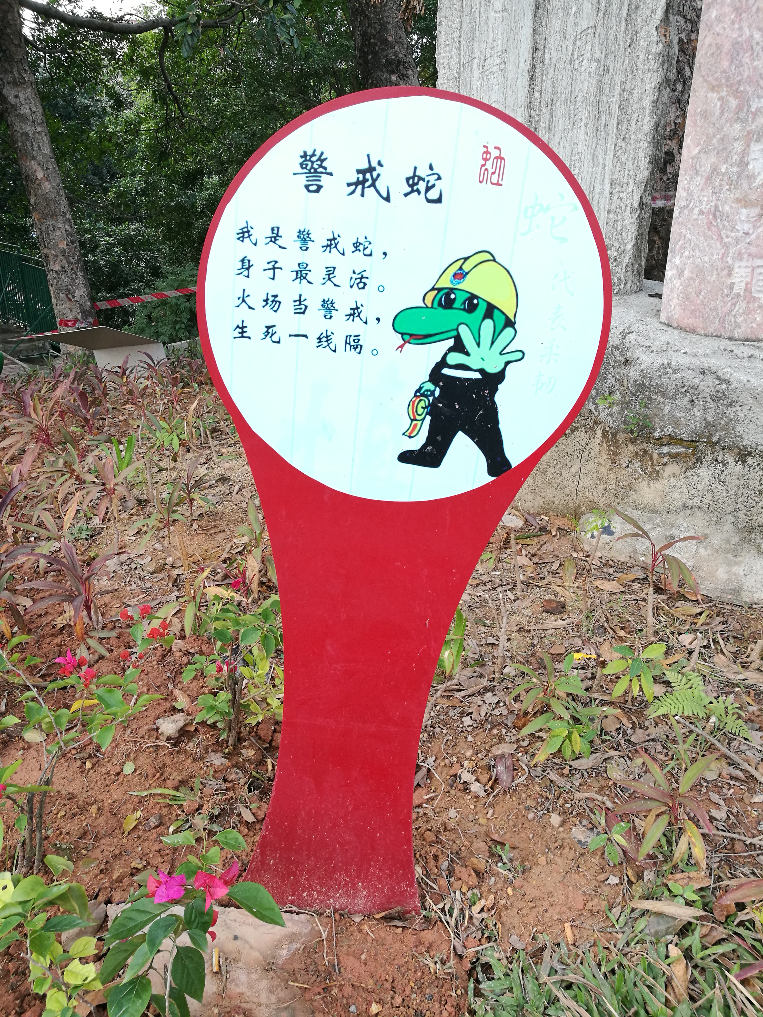 平安夜偶遇第一场雪,平安夜偶遇生日