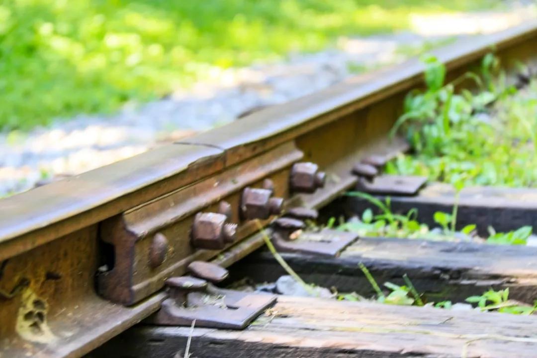 北京人少景美赏秋的公园,北京赏秋中山公园