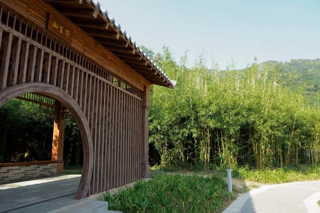 人少还免门票！深圳这片5000000㎡新公园美翻了，“神仙花谷”