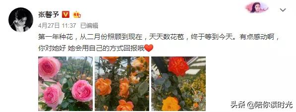 张馨予热门话题,张馨予从话题女王到帅气