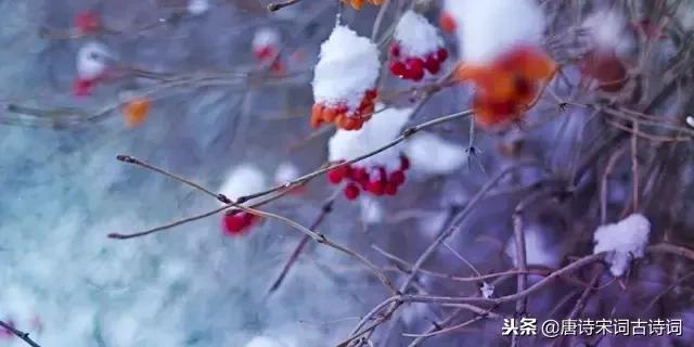 一场大雪洋洋洒洒而来,带雪的唯美唐诗宋词