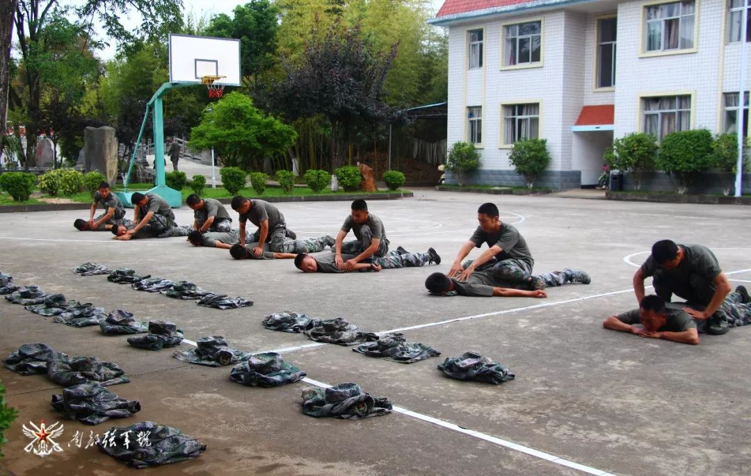 新军体体能训练法,体能套路组合训练