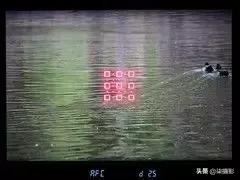 各种对焦模式的适用范围,聚焦区域和自动对焦模式的选择