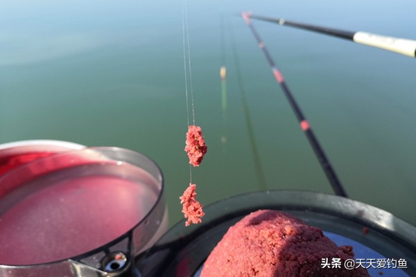 鱼不吃钩有什么好方法,对付鱼不咬钩的妙招