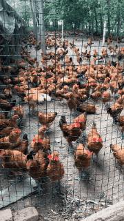 只能亮度调亮才能看得懂的梗,调高亮度才能看懂的梗