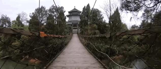 飞宇ricca运动相机测评,飞宇云台相机和运动相机对比