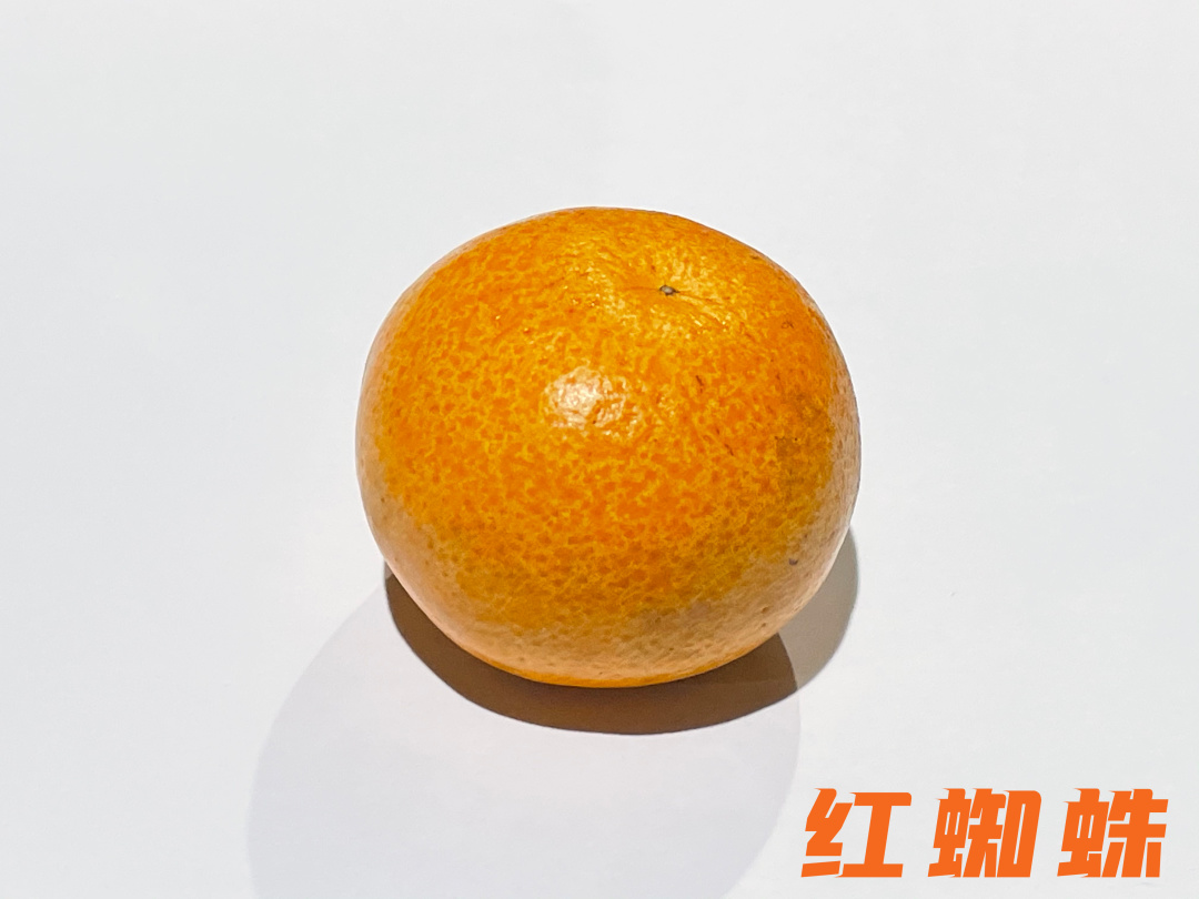 橙子干水了,橙子里面干水是什么原因