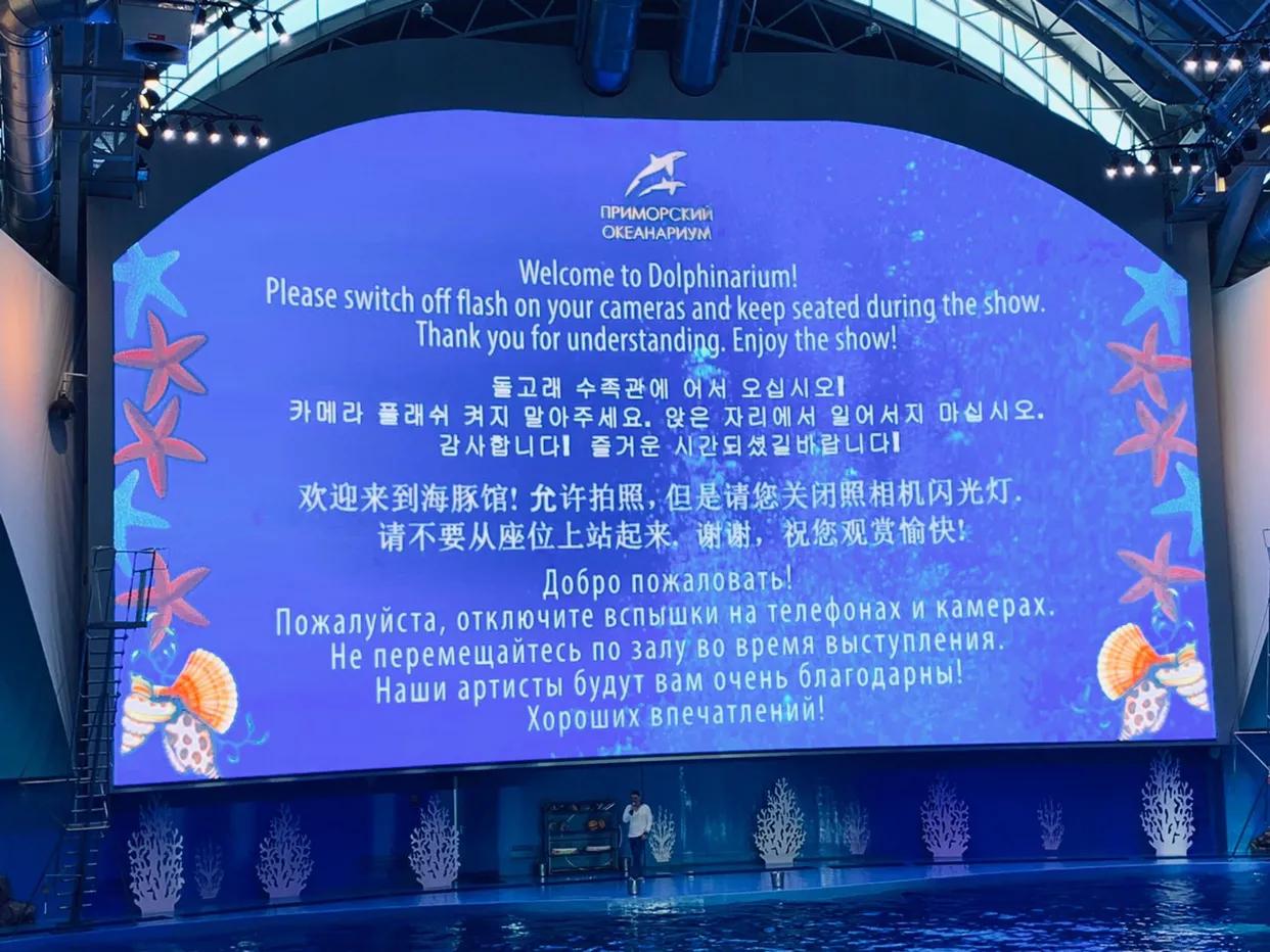 海参崴艺术表演,海参崴歌舞表演与风情表演的区别