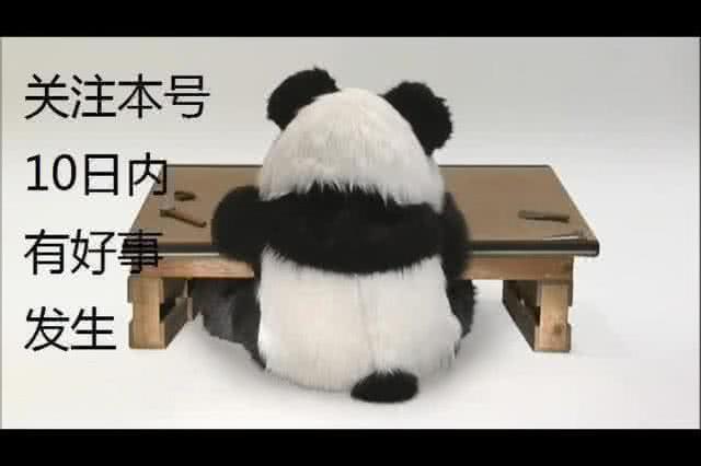 中国足协为中国足球做出什么贡献,足协被球迷称赞