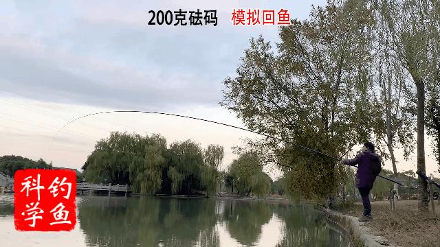 迪佳哪款综合鱼竿最好用,迪佳哪款鱼竿最结实