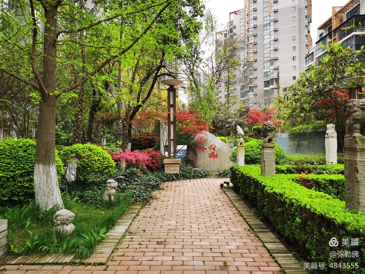 高新枫林华府住房,高新枫林华府小区评测