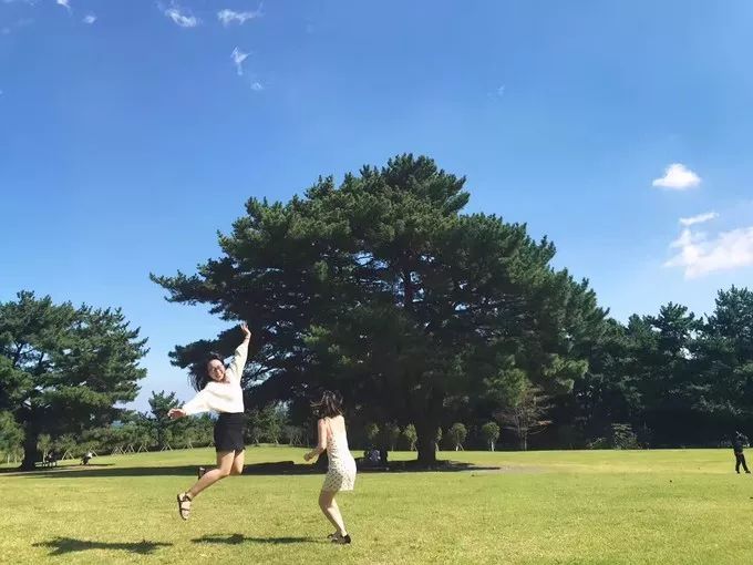 济州岛俩人旅游攻略,济州岛双人跟团旅游费用