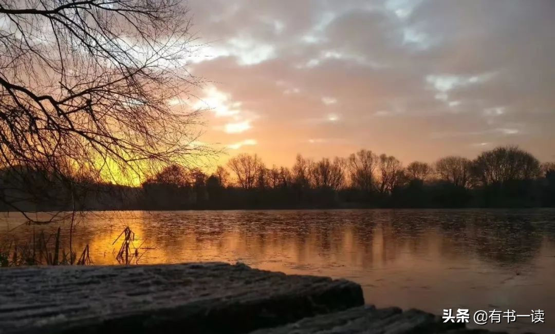 王国维人间词话最长的一篇诗词,王国维人间词话赏析十分钟