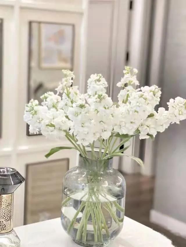 10万爆款文章写作技巧,7个标题模板一分钟掌握写作秘籍