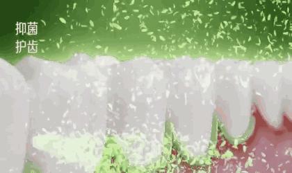 刘涛全瓷牙经验之谈,为什么刘涛说不要轻易做全瓷牙