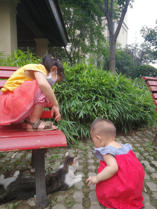 遛弯儿抖音女版,遛弯的少女