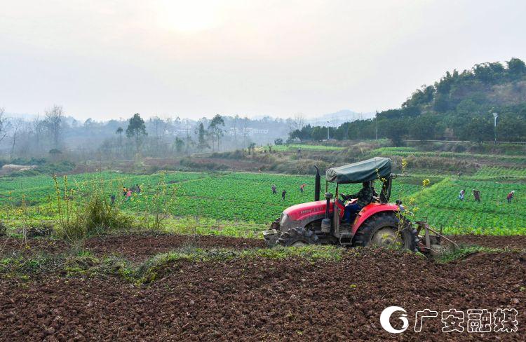 疫情防控不松懈春耕生产不松劲,疫情防控不松劲质量意识不松懈
