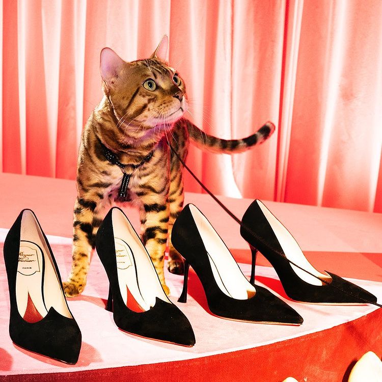 迪丽热巴造型黑色抹胸长裙,迪丽热巴蓝纱裙造型走路